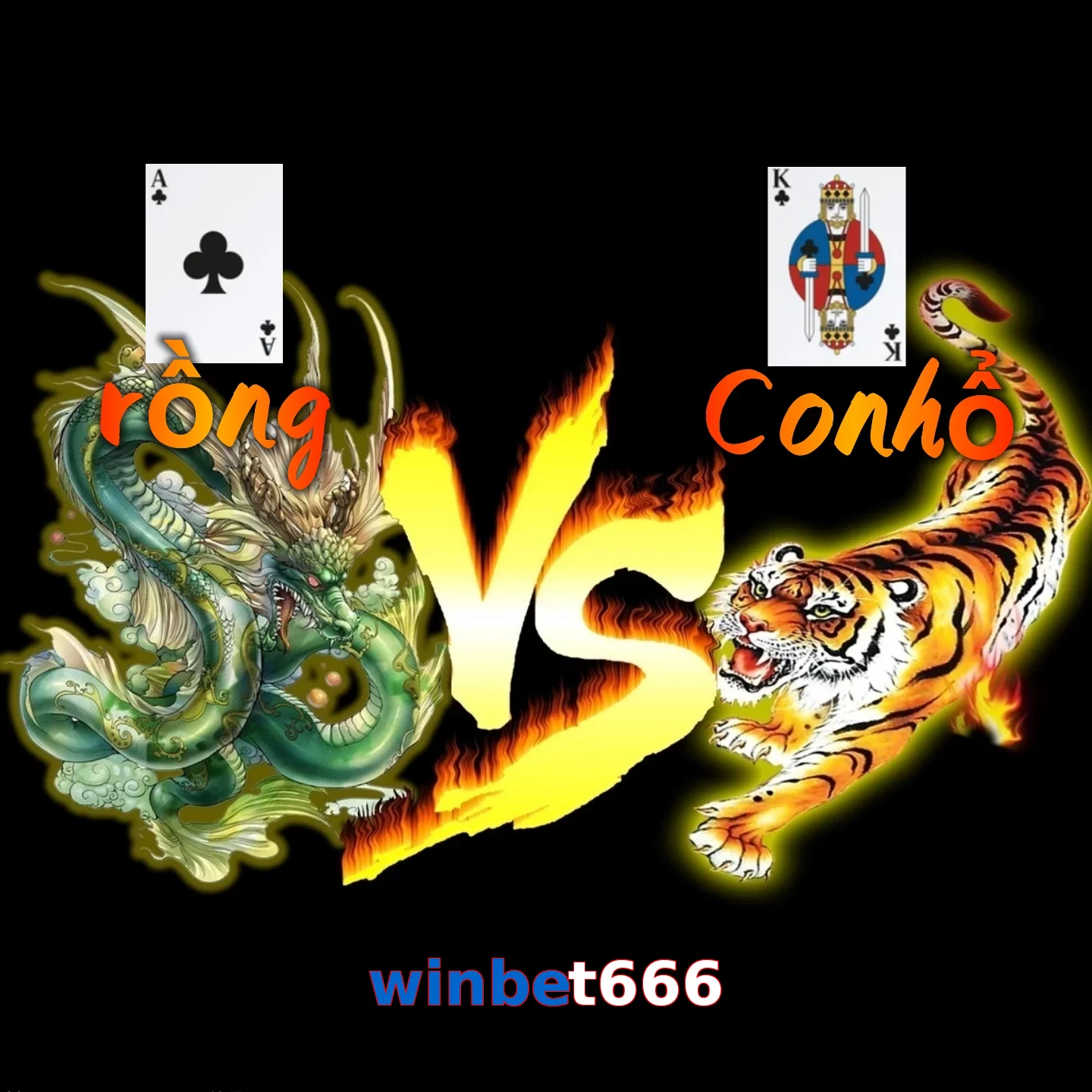 winbet666